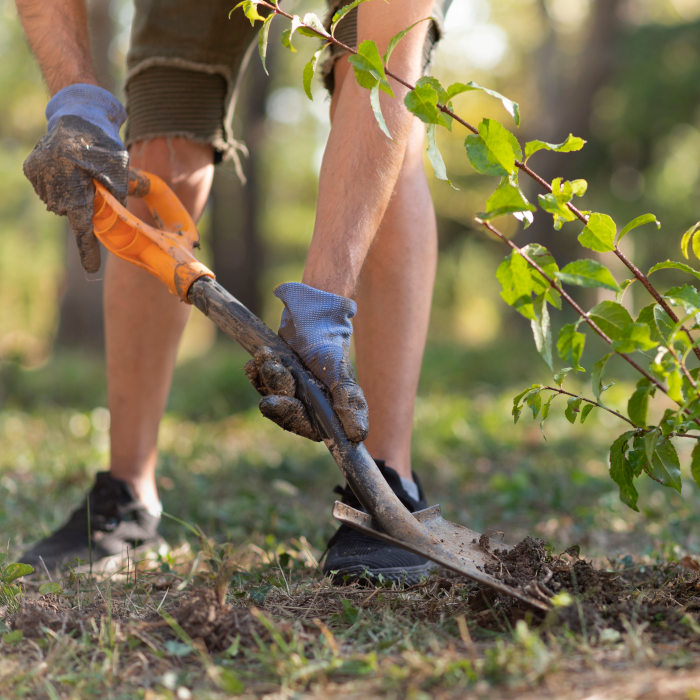 jardinage asnieres-sur-oise