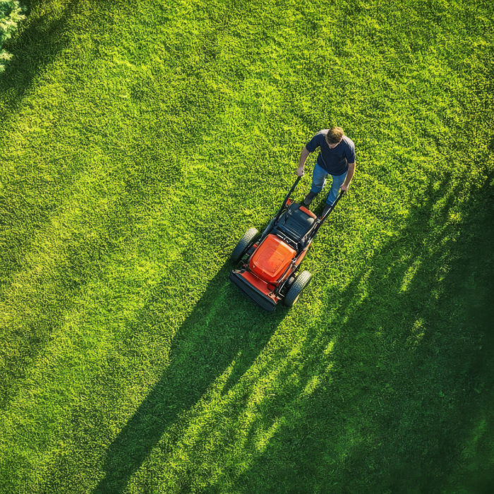 tonte de pelouse asnieres-sur-oise