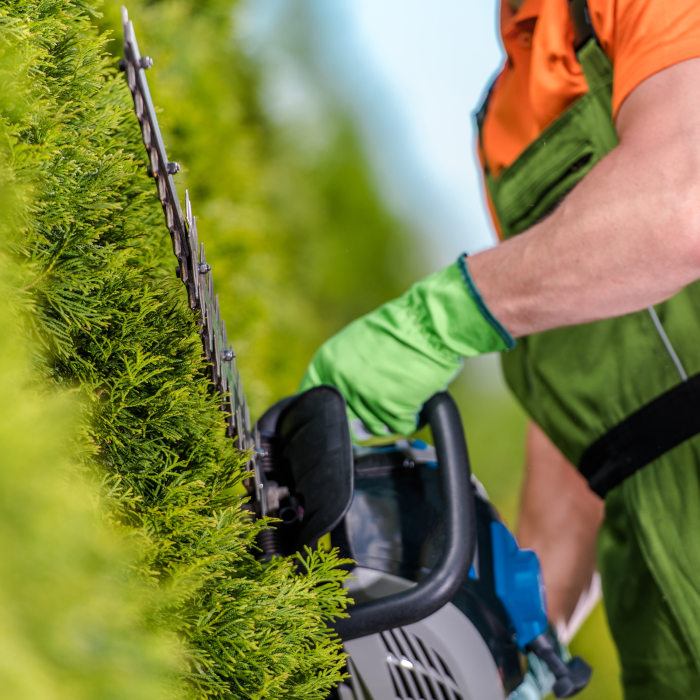 elagage asnieres-sur-oise