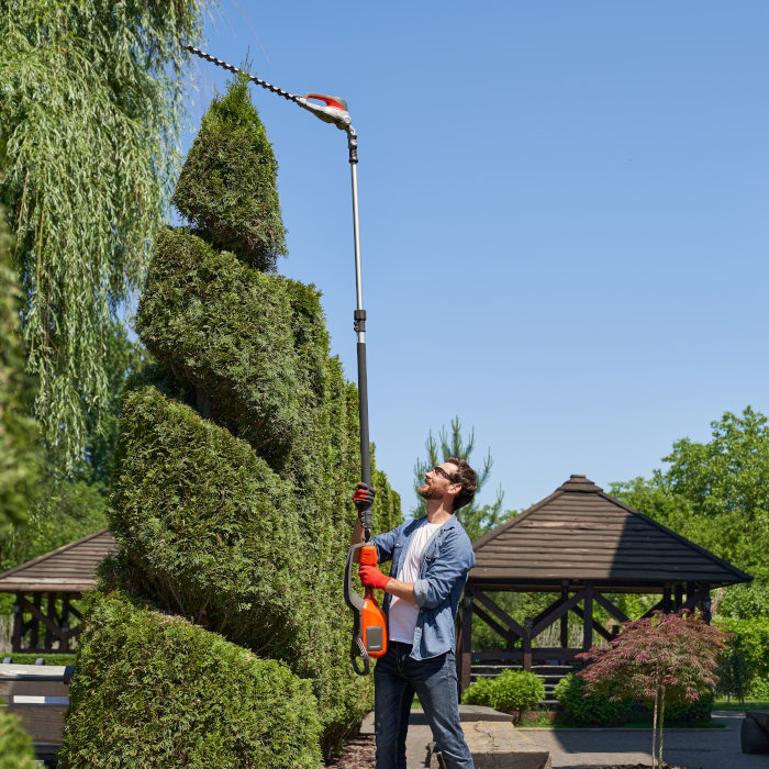 devis elagueur asnieres-sur-oise